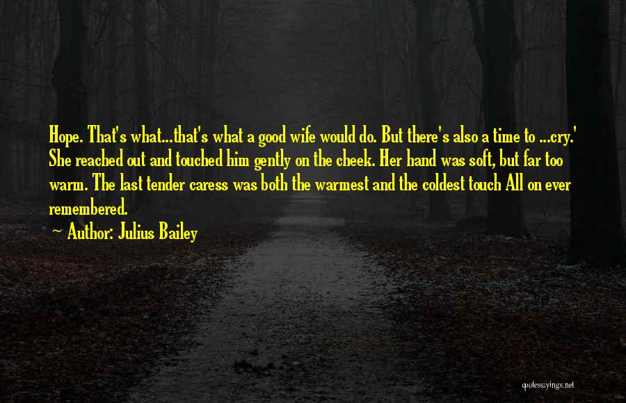 Julius Bailey Quotes: Hope. That's What...that's What A Good Wife Would Do. But There's Also A Time To ...cry.' She Reached Out And