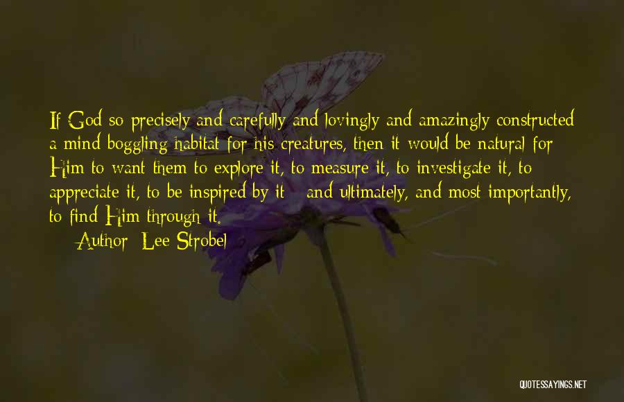 Lee Strobel Quotes: If God So Precisely And Carefully And Lovingly And Amazingly Constructed A Mind-boggling Habitat For His Creatures, Then It Would