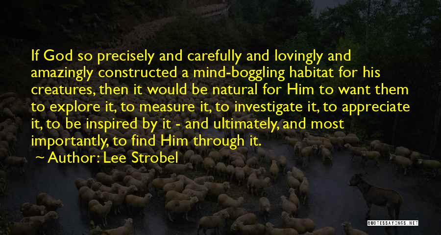 Lee Strobel Quotes: If God So Precisely And Carefully And Lovingly And Amazingly Constructed A Mind-boggling Habitat For His Creatures, Then It Would