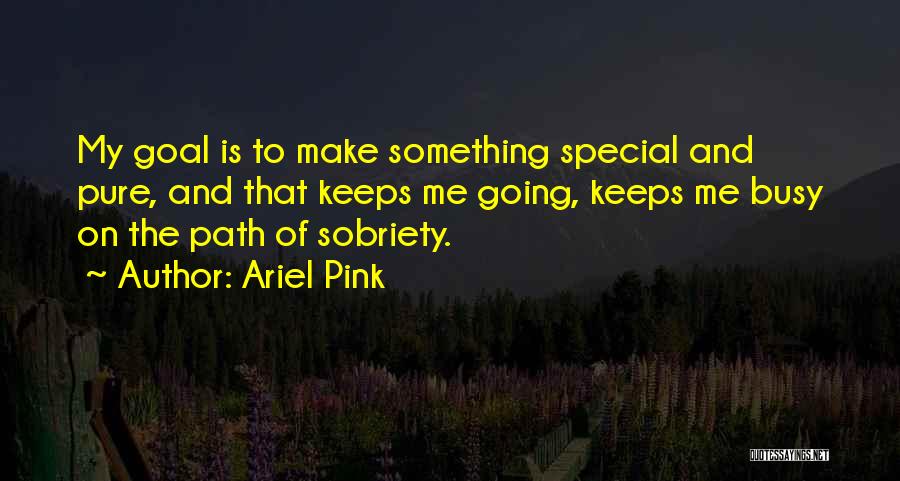 Ariel Pink Quotes: My Goal Is To Make Something Special And Pure, And That Keeps Me Going, Keeps Me Busy On The Path