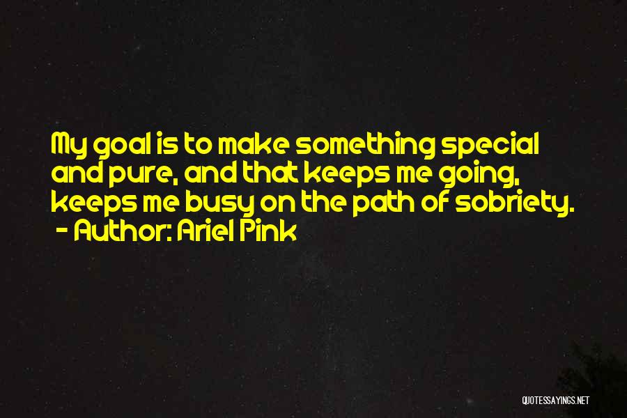 Ariel Pink Quotes: My Goal Is To Make Something Special And Pure, And That Keeps Me Going, Keeps Me Busy On The Path