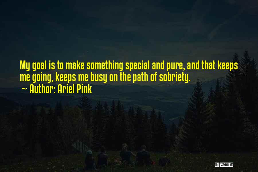 Ariel Pink Quotes: My Goal Is To Make Something Special And Pure, And That Keeps Me Going, Keeps Me Busy On The Path