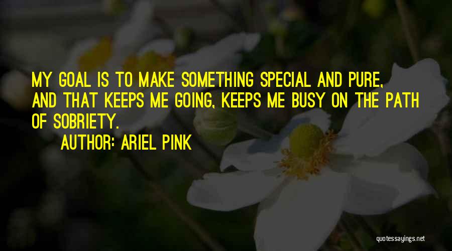 Ariel Pink Quotes: My Goal Is To Make Something Special And Pure, And That Keeps Me Going, Keeps Me Busy On The Path