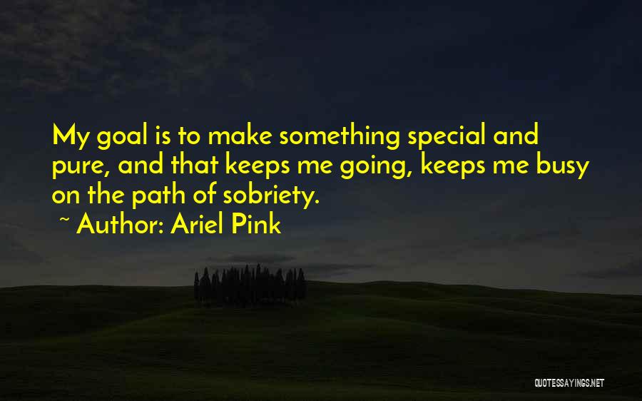 Ariel Pink Quotes: My Goal Is To Make Something Special And Pure, And That Keeps Me Going, Keeps Me Busy On The Path