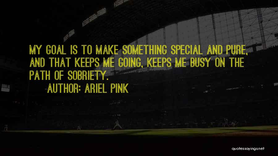 Ariel Pink Quotes: My Goal Is To Make Something Special And Pure, And That Keeps Me Going, Keeps Me Busy On The Path