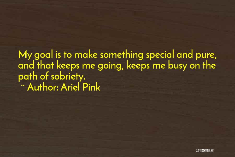 Ariel Pink Quotes: My Goal Is To Make Something Special And Pure, And That Keeps Me Going, Keeps Me Busy On The Path