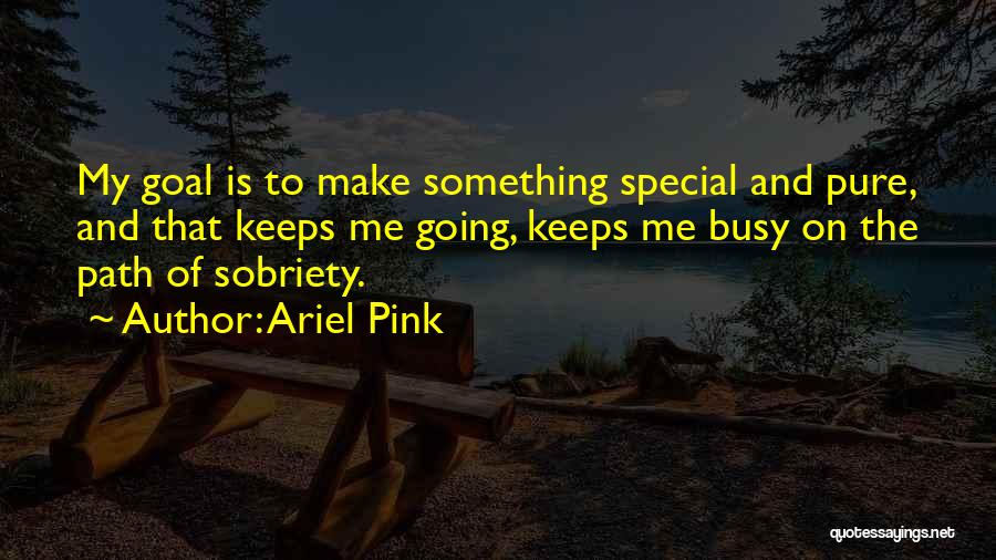 Ariel Pink Quotes: My Goal Is To Make Something Special And Pure, And That Keeps Me Going, Keeps Me Busy On The Path