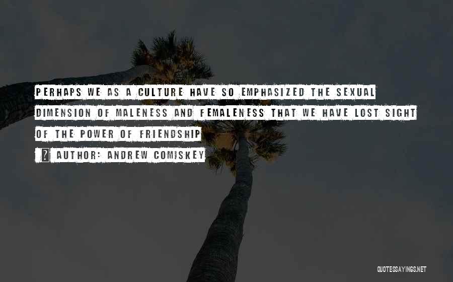 Andrew Comiskey Quotes: Perhaps We As A Culture Have So Emphasized The Sexual Dimension Of Maleness And Femaleness That We Have Lost Sight