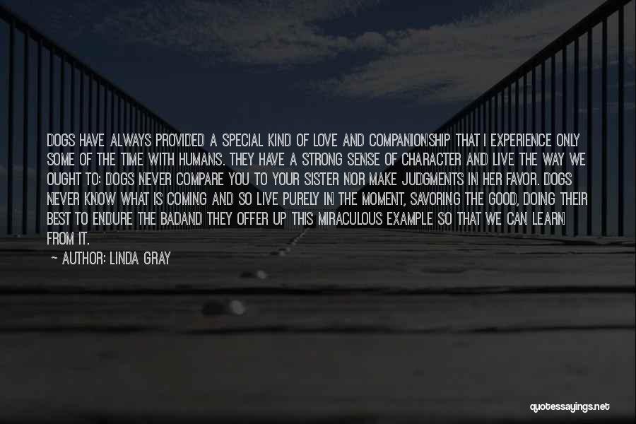 Linda Gray Quotes: Dogs Have Always Provided A Special Kind Of Love And Companionship That I Experience Only Some Of The Time With