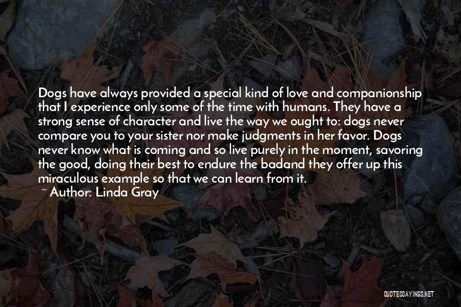 Linda Gray Quotes: Dogs Have Always Provided A Special Kind Of Love And Companionship That I Experience Only Some Of The Time With