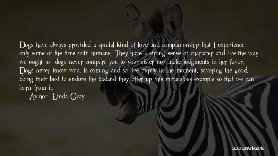 Linda Gray Quotes: Dogs Have Always Provided A Special Kind Of Love And Companionship That I Experience Only Some Of The Time With