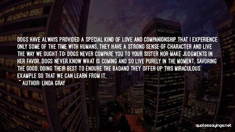 Linda Gray Quotes: Dogs Have Always Provided A Special Kind Of Love And Companionship That I Experience Only Some Of The Time With