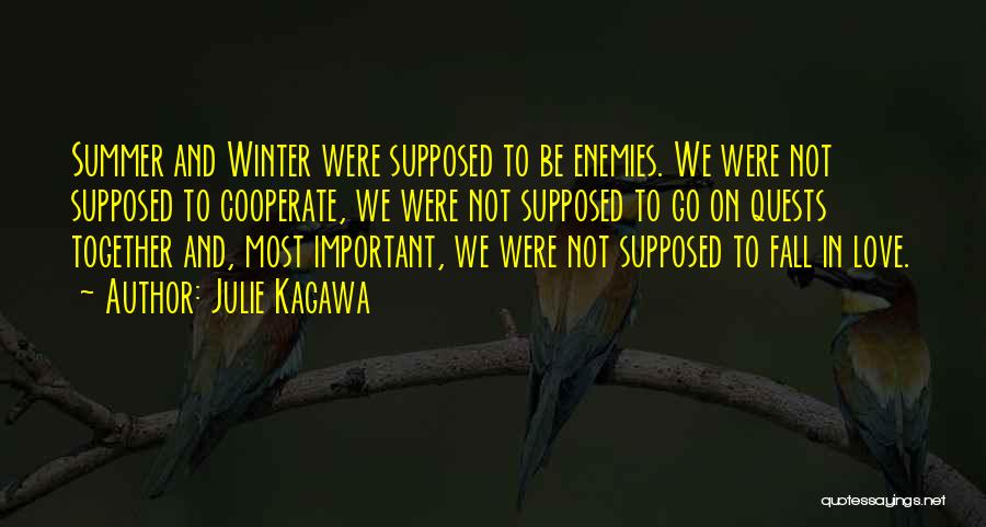 Julie Kagawa Quotes: Summer And Winter Were Supposed To Be Enemies. We Were Not Supposed To Cooperate, We Were Not Supposed To Go