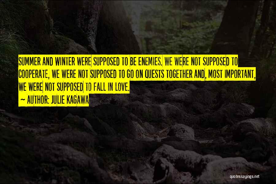 Julie Kagawa Quotes: Summer And Winter Were Supposed To Be Enemies. We Were Not Supposed To Cooperate, We Were Not Supposed To Go