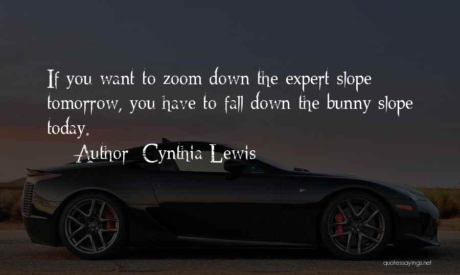 Cynthia Lewis Quotes: If You Want To Zoom Down The Expert Slope Tomorrow, You Have To Fall Down The Bunny Slope Today.