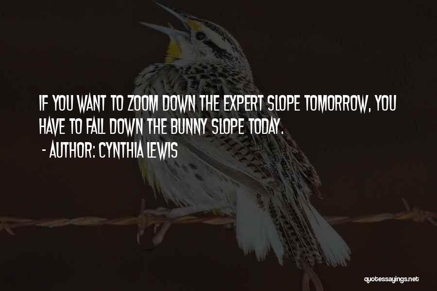Cynthia Lewis Quotes: If You Want To Zoom Down The Expert Slope Tomorrow, You Have To Fall Down The Bunny Slope Today.
