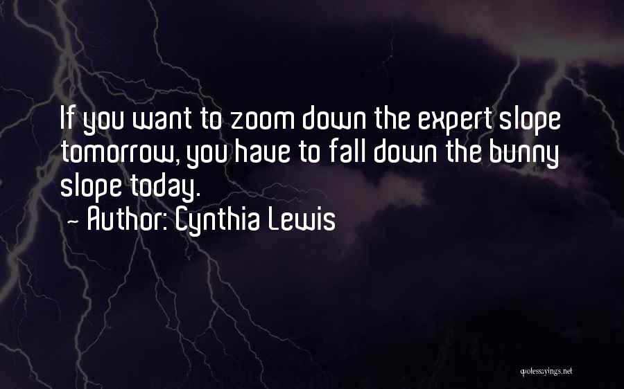 Cynthia Lewis Quotes: If You Want To Zoom Down The Expert Slope Tomorrow, You Have To Fall Down The Bunny Slope Today.