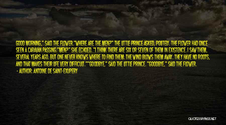 Antoine De Saint-Exupery Quotes: Good Morning, Said The Flower.where Are The Men? The Little Prince Asked, Politely. The Flower Had Once Seen A Caravan