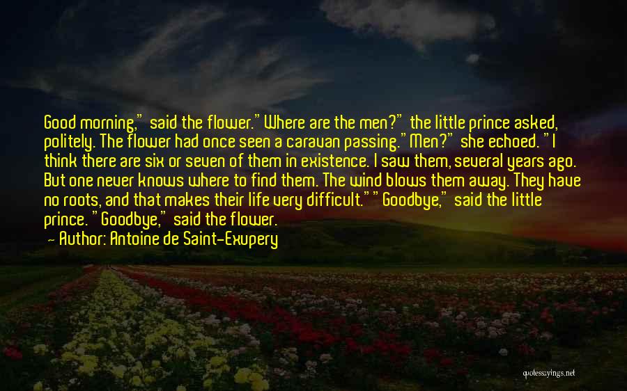 Antoine De Saint-Exupery Quotes: Good Morning, Said The Flower.where Are The Men? The Little Prince Asked, Politely. The Flower Had Once Seen A Caravan