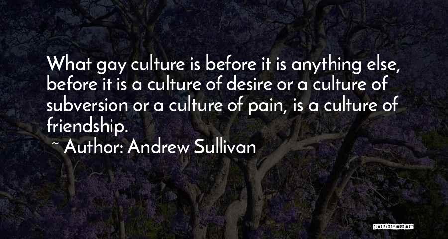 Andrew Sullivan Quotes: What Gay Culture Is Before It Is Anything Else, Before It Is A Culture Of Desire Or A Culture Of