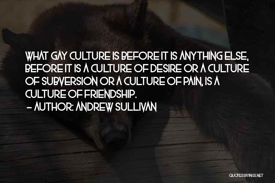 Andrew Sullivan Quotes: What Gay Culture Is Before It Is Anything Else, Before It Is A Culture Of Desire Or A Culture Of