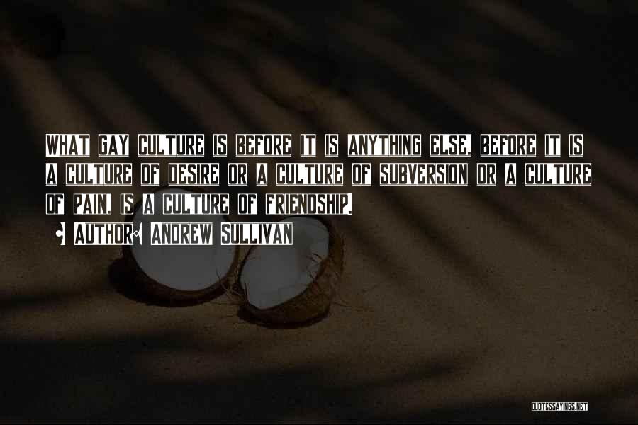 Andrew Sullivan Quotes: What Gay Culture Is Before It Is Anything Else, Before It Is A Culture Of Desire Or A Culture Of