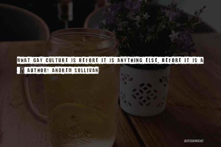 Andrew Sullivan Quotes: What Gay Culture Is Before It Is Anything Else, Before It Is A Culture Of Desire Or A Culture Of