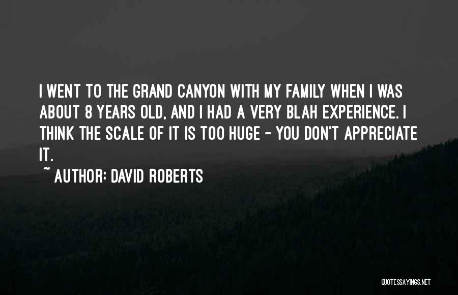 David Roberts Quotes: I Went To The Grand Canyon With My Family When I Was About 8 Years Old, And I Had A