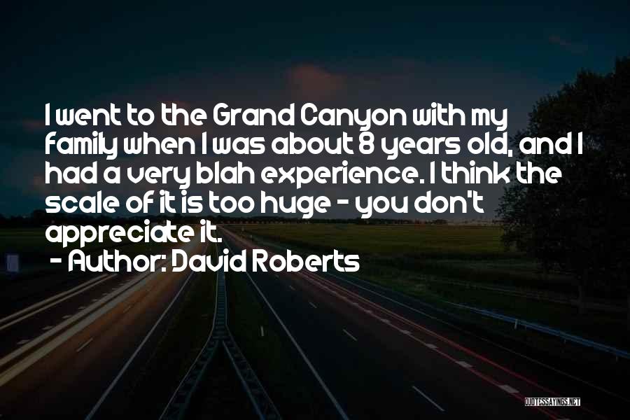 David Roberts Quotes: I Went To The Grand Canyon With My Family When I Was About 8 Years Old, And I Had A