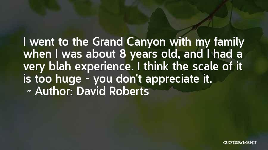 David Roberts Quotes: I Went To The Grand Canyon With My Family When I Was About 8 Years Old, And I Had A