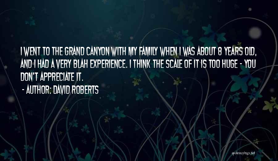 David Roberts Quotes: I Went To The Grand Canyon With My Family When I Was About 8 Years Old, And I Had A