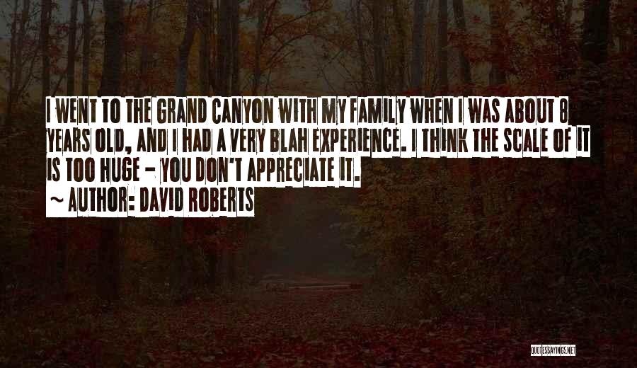 David Roberts Quotes: I Went To The Grand Canyon With My Family When I Was About 8 Years Old, And I Had A