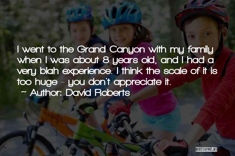 David Roberts Quotes: I Went To The Grand Canyon With My Family When I Was About 8 Years Old, And I Had A