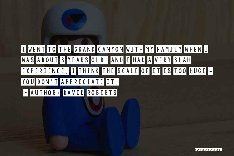 David Roberts Quotes: I Went To The Grand Canyon With My Family When I Was About 8 Years Old, And I Had A