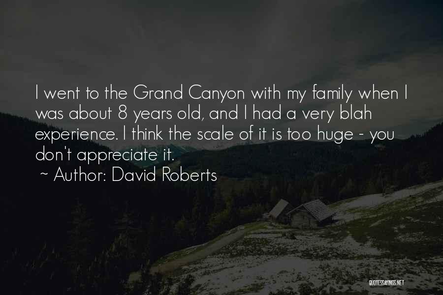 David Roberts Quotes: I Went To The Grand Canyon With My Family When I Was About 8 Years Old, And I Had A