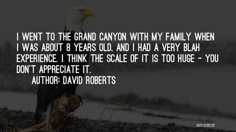 David Roberts Quotes: I Went To The Grand Canyon With My Family When I Was About 8 Years Old, And I Had A