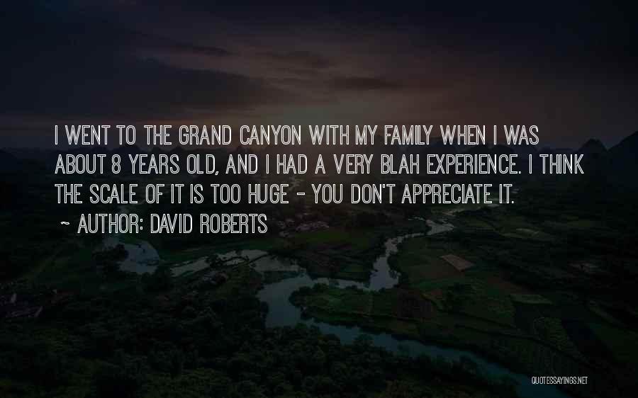 David Roberts Quotes: I Went To The Grand Canyon With My Family When I Was About 8 Years Old, And I Had A