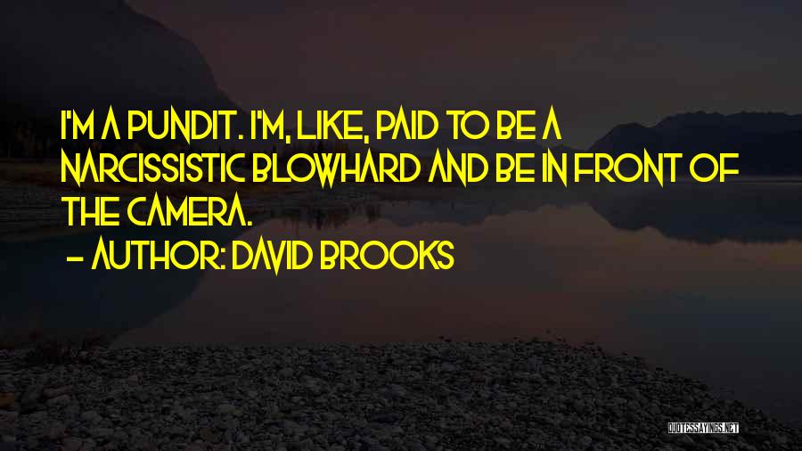 David Brooks Quotes: I'm A Pundit. I'm, Like, Paid To Be A Narcissistic Blowhard And Be In Front Of The Camera.