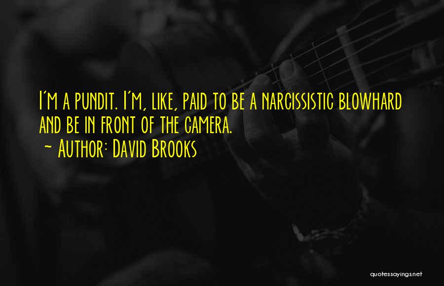 David Brooks Quotes: I'm A Pundit. I'm, Like, Paid To Be A Narcissistic Blowhard And Be In Front Of The Camera.