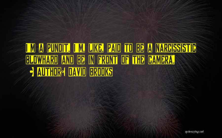 David Brooks Quotes: I'm A Pundit. I'm, Like, Paid To Be A Narcissistic Blowhard And Be In Front Of The Camera.