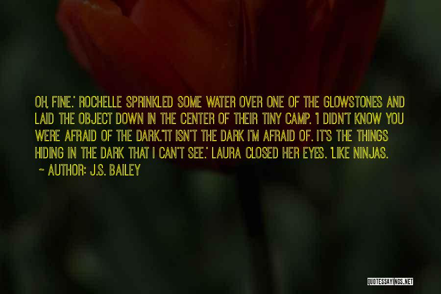 J.S. Bailey Quotes: Oh, Fine.' Rochelle Sprinkled Some Water Over One Of The Glowstones And Laid The Object Down In The Center Of