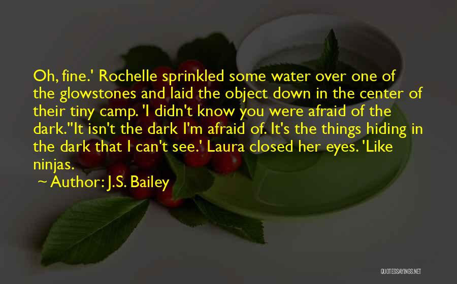 J.S. Bailey Quotes: Oh, Fine.' Rochelle Sprinkled Some Water Over One Of The Glowstones And Laid The Object Down In The Center Of