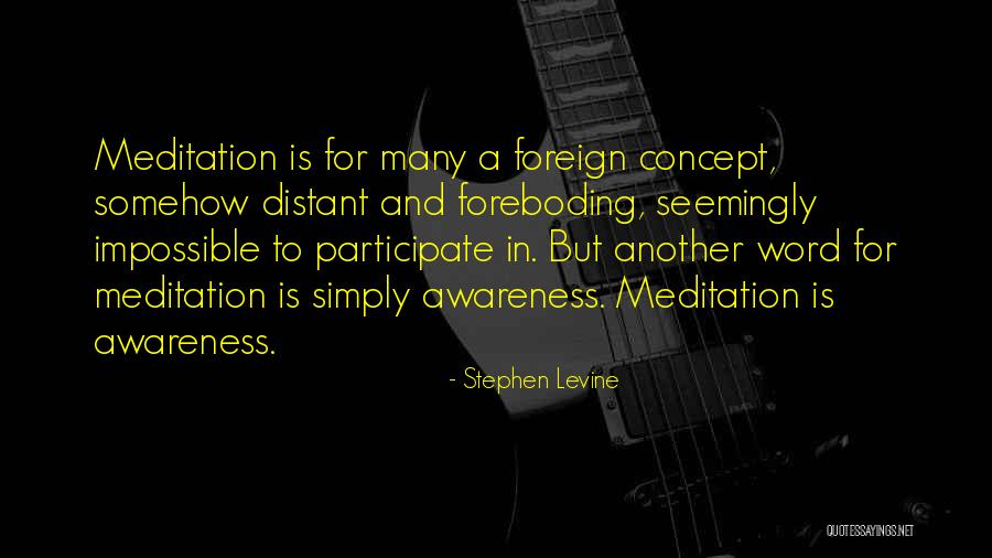 1668300218 Quotes By Stephen Levine 1668300218 Quotes By Stephen Levine