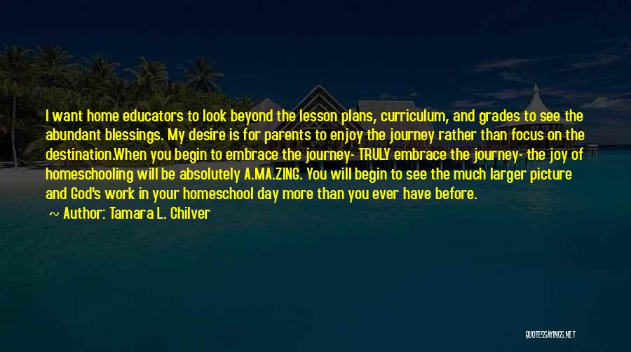 Tamara L. Chilver Quotes: I Want Home Educators To Look Beyond The Lesson Plans, Curriculum, And Grades To See The Abundant Blessings. My Desire