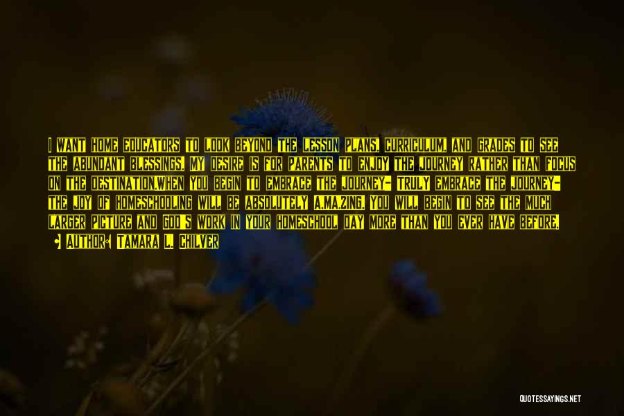 Tamara L. Chilver Quotes: I Want Home Educators To Look Beyond The Lesson Plans, Curriculum, And Grades To See The Abundant Blessings. My Desire