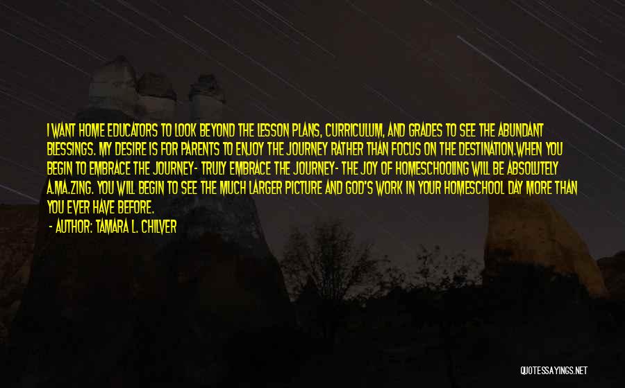 Tamara L. Chilver Quotes: I Want Home Educators To Look Beyond The Lesson Plans, Curriculum, And Grades To See The Abundant Blessings. My Desire