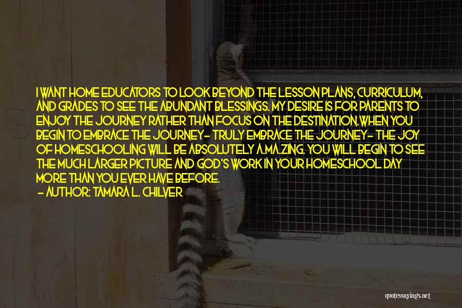 Tamara L. Chilver Quotes: I Want Home Educators To Look Beyond The Lesson Plans, Curriculum, And Grades To See The Abundant Blessings. My Desire