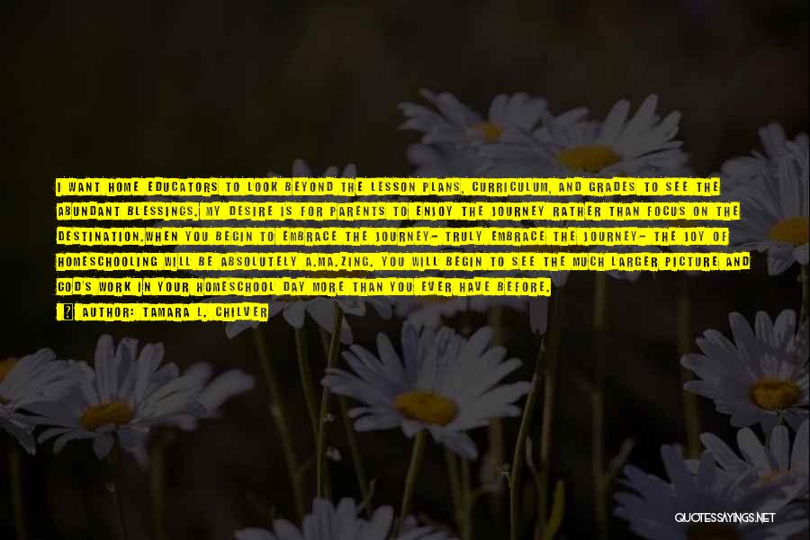 Tamara L. Chilver Quotes: I Want Home Educators To Look Beyond The Lesson Plans, Curriculum, And Grades To See The Abundant Blessings. My Desire