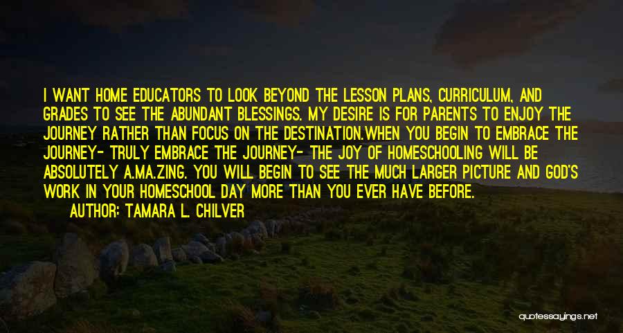 Tamara L. Chilver Quotes: I Want Home Educators To Look Beyond The Lesson Plans, Curriculum, And Grades To See The Abundant Blessings. My Desire