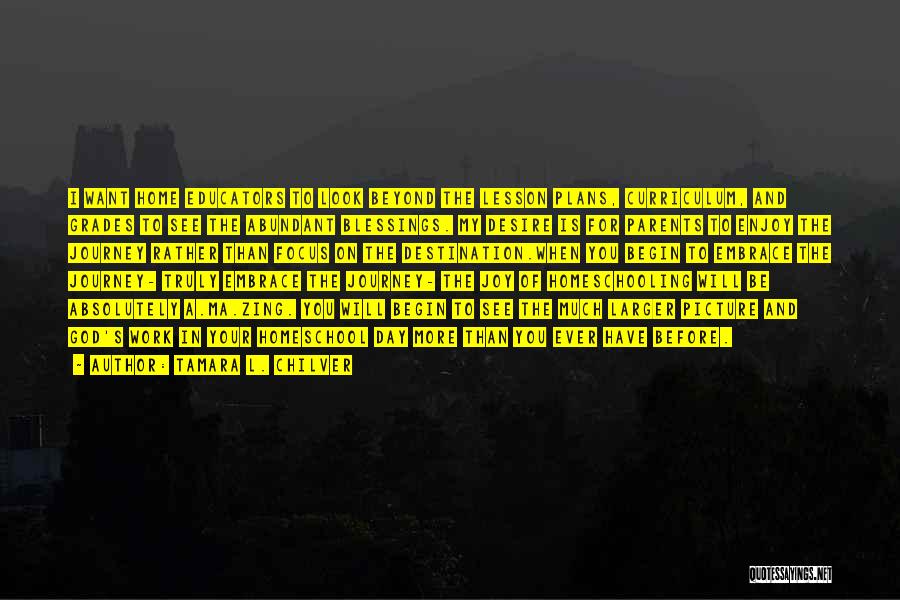 Tamara L. Chilver Quotes: I Want Home Educators To Look Beyond The Lesson Plans, Curriculum, And Grades To See The Abundant Blessings. My Desire